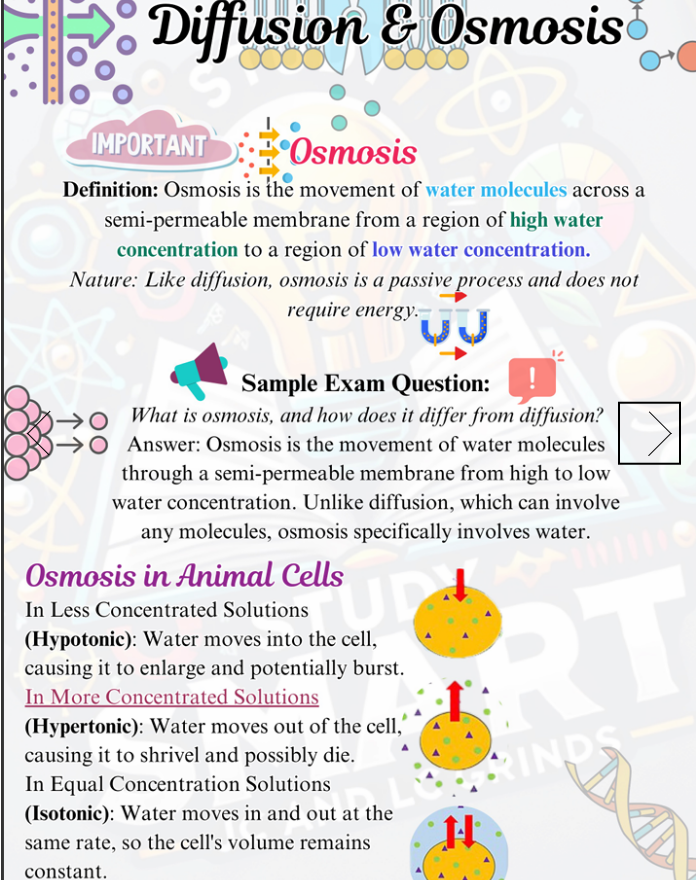 Physical Copy - Leaving Certificate Biology Exam Focused Book