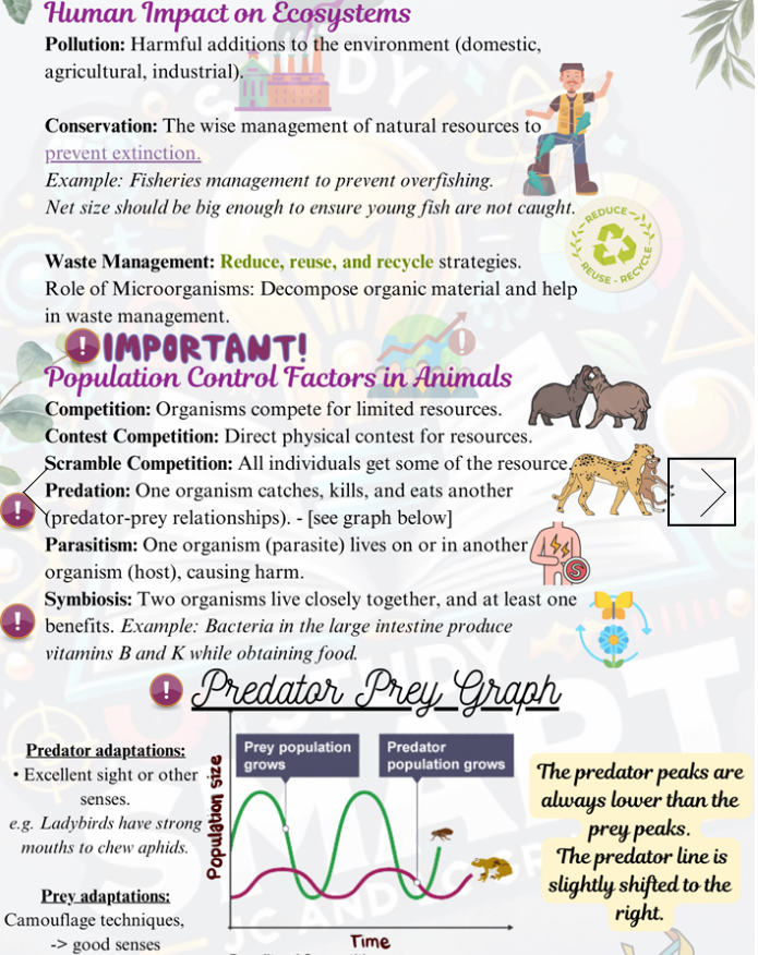 Physical Copy - Leaving Certificate Biology Exam Focused Book
